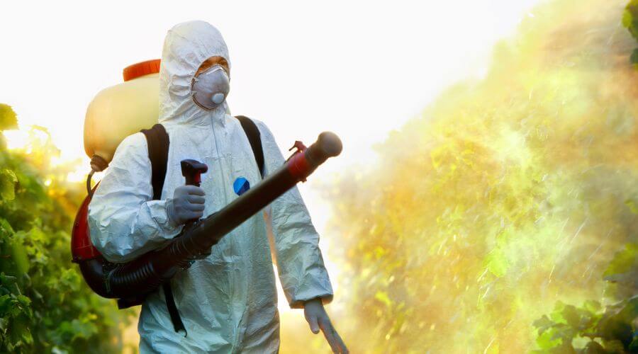 Professional pest control services in Hermiston